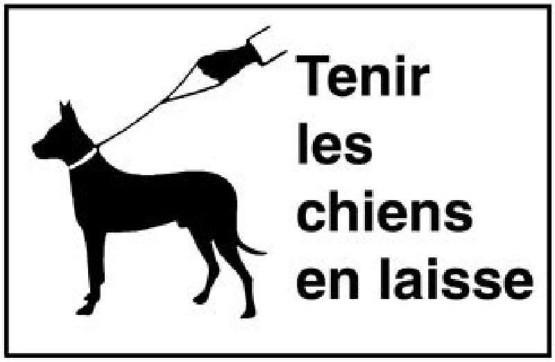 .TAFELN "TENIR LES CHIENS EN LAISSE"