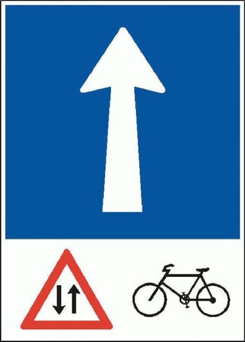 4.08.1 Einbahnstrasse mit Gegenverkehr v Grösse cm: 35/50, Ausführung: Scotchlite