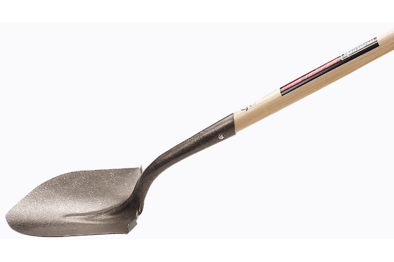 Kachelbild Garten, Forst