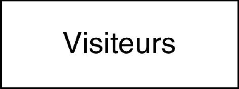 10.290 Zusatztafel EG Grösse cm: 40/15, Text: Visiteurs