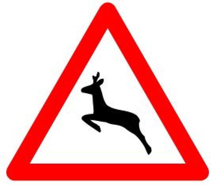 .SIGNAL SCOTCHLITE EG  WILDWECHSEL