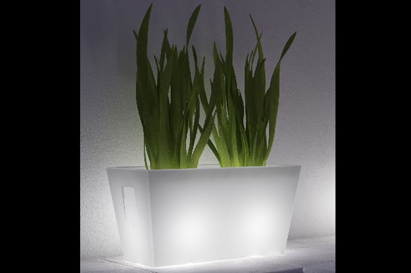 Pflanzkasten Thiene Luce weiss Aussenmass cm: 80X40, Höhe cm: 42